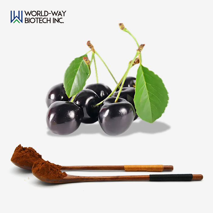 Black Cherry Extract Black Cherry Extract